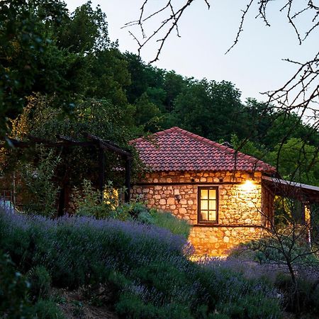 Ktima Bellou Agios Dimitrios  Exterior photo